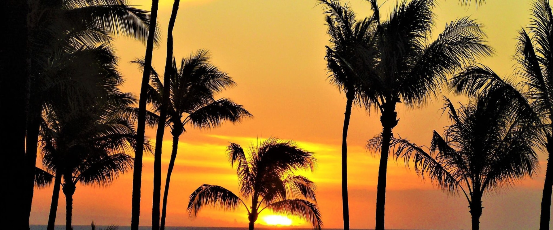 Expert Review: Movers Hawaii - The Best Moving Company in the Aloha State