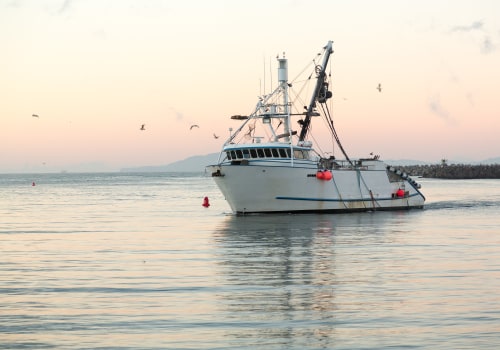 Fishing Boats: Types, Benefits, and More